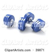 Two Blue Free Weights
