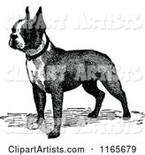 Retro Vintage Black and White Boston Terrier Dog