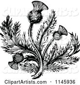 Retro Vintage Black and White Thistle Flower 2