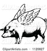 Retro Vintage Black and White Winged Pig